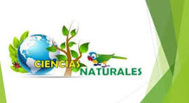 cienciasnaturalesuti2024.milaulas.com